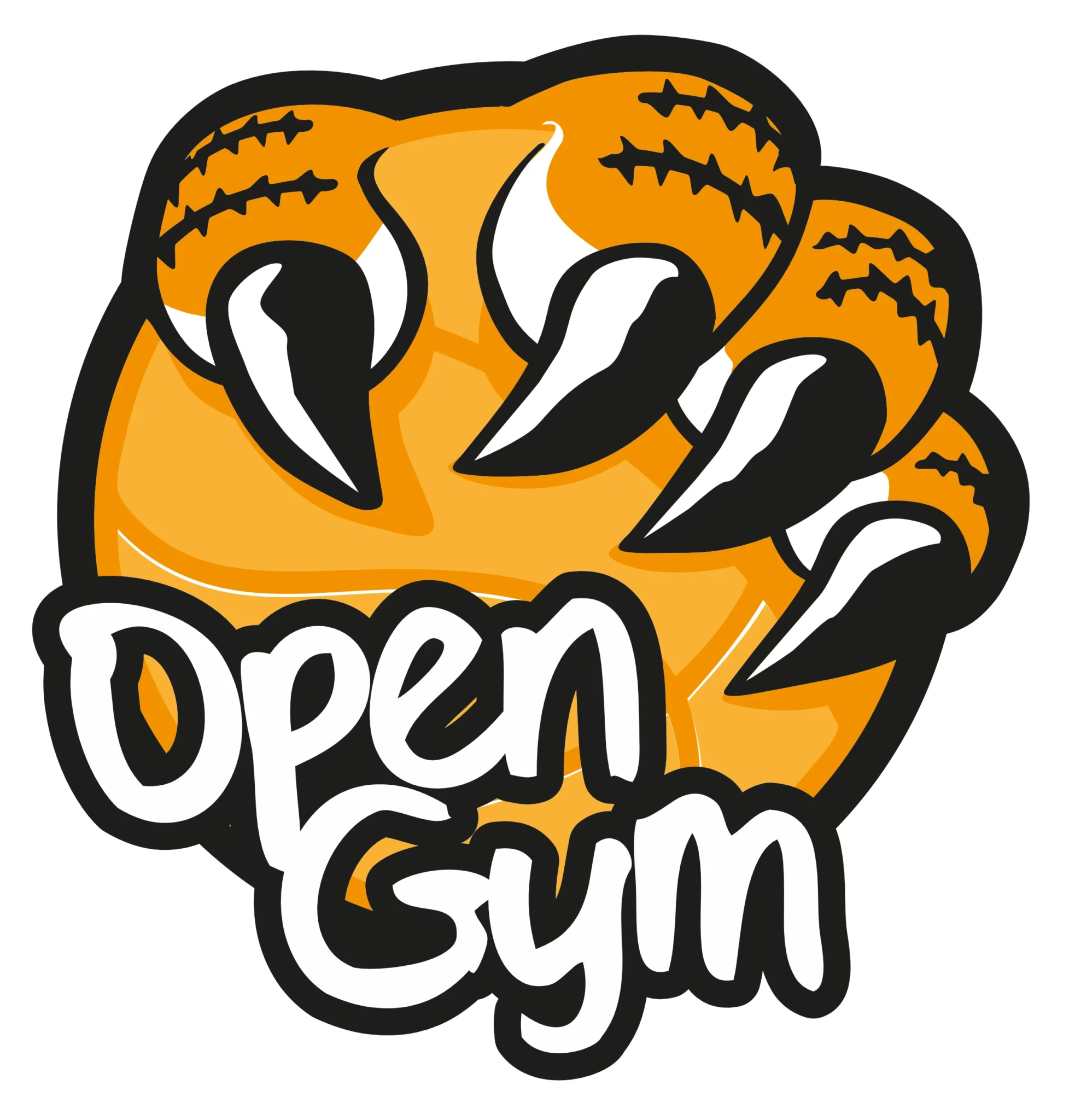 Logo Open Gym | Ballers' Paradise
